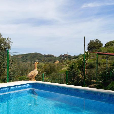 Live Finca El Gamonal Bajo Con Piscina Y Jardin En La Naturaleza Санта-Брихида Экстерьер фото