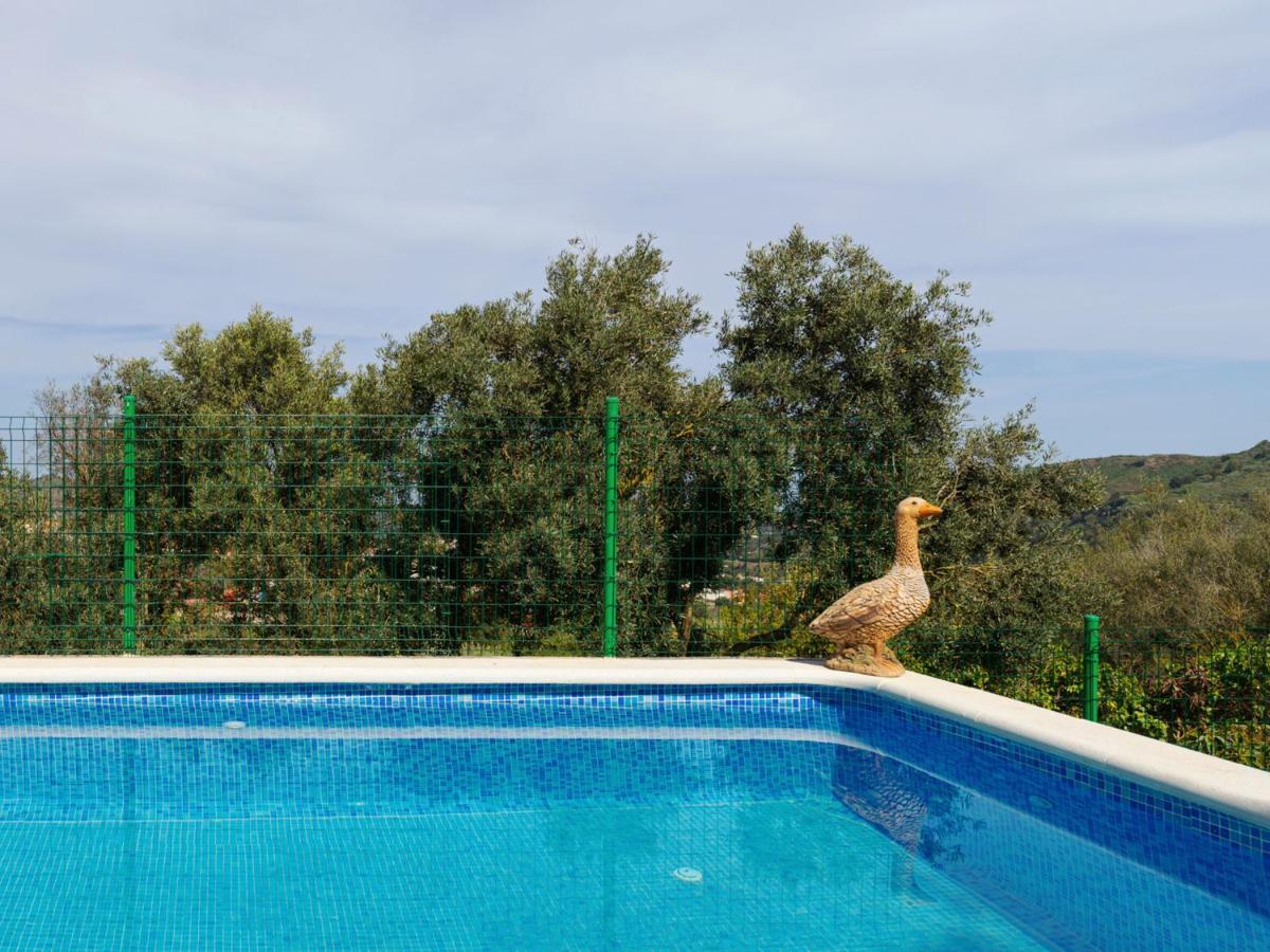 Live Finca El Gamonal Bajo Con Piscina Y Jardin En La Naturaleza Санта-Брихида Экстерьер фото