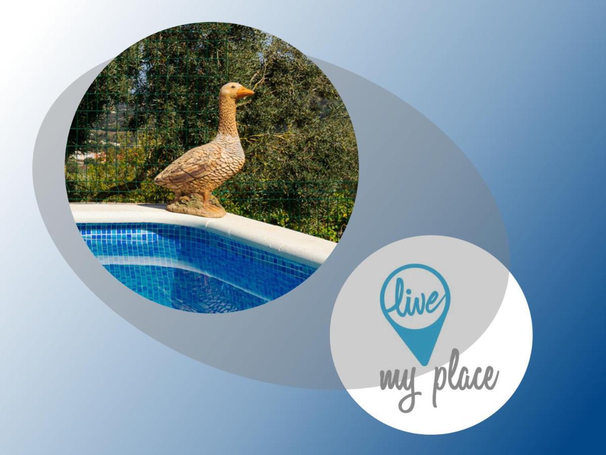 Live Finca El Gamonal Bajo Con Piscina Y Jardin En La Naturaleza Санта-Брихида Экстерьер фото